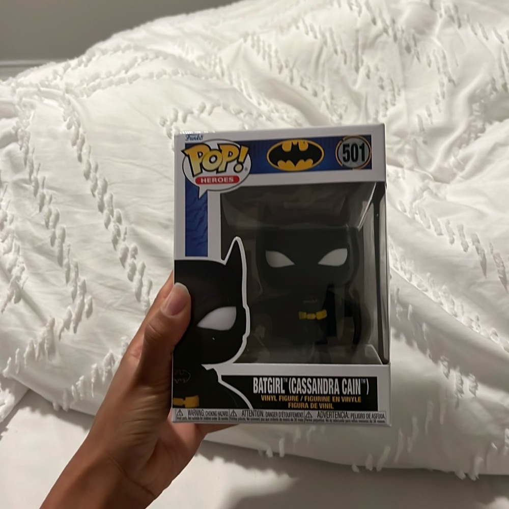 Pop hero’s batgirl